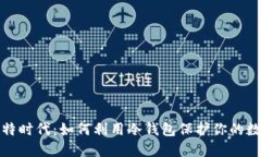 探索比特时代：如何利用冷钱包保护你的数字资