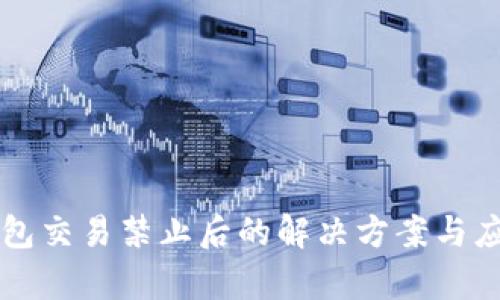 比太钱包交易禁止后的解决方案与应用分析