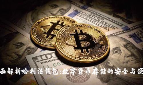全面解析哈利法钱包：数字货币存储的安全与便捷