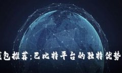 莱特币钱包推荐：巴比特平台的独特优势与创新