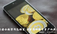 全球最安全数字钱包推荐：保护您的数字资产的